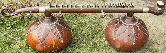 Dr. lalmani's invention Shruti Veena at Faculty of Music, B.H.U., Varanasi